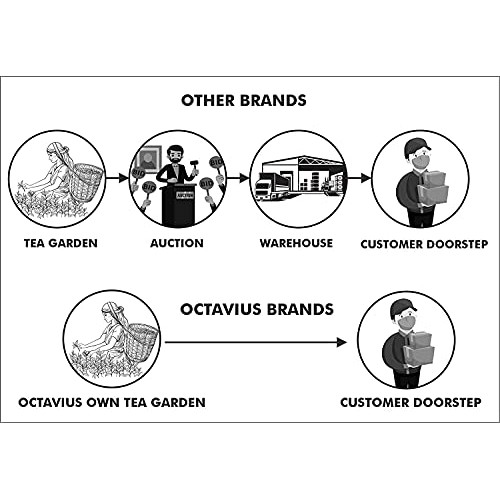 Octavius Green Tea Sampler, 3 Teas - Tea Variety Pack | Assorted