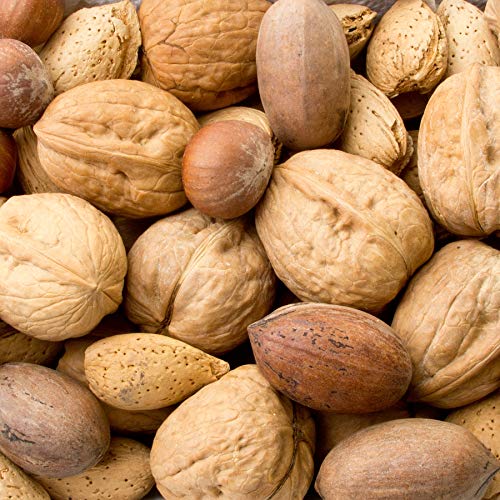 Mixed Nuts Large Raw In Shell, Jumbo Seasonal In Shell Nuts Mix Mixed Nuts Large Raw In Shell, Jumbo Seasonal In Shell Nuts Mix
