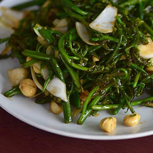 Oh! Nuts Oven Roasted Macadamia Nuts | Dry-Roast, Unsalted, & Gl...