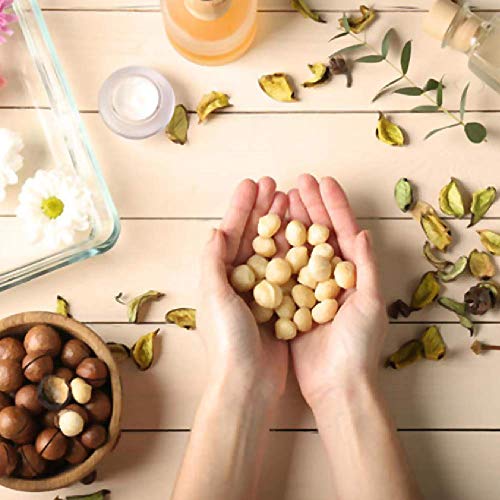 Oh! Nuts Oven Roasted Macadamia Nuts | Dry-Roast, Unsalted, & Gl...