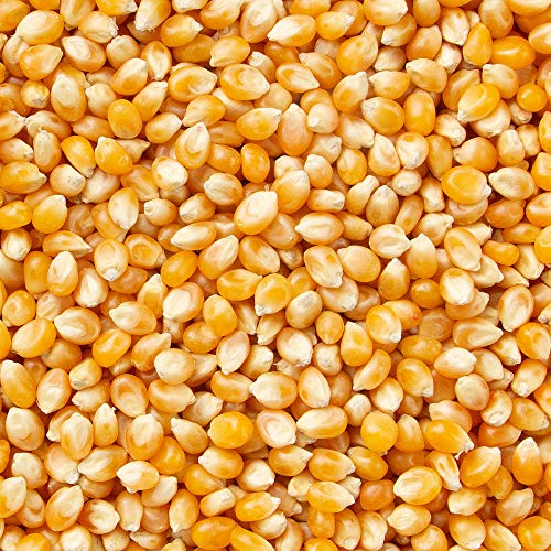 Oh! Nuts Popcorn Kernel Seeds | Bulk 5Lb Bag Of 100% All Natural