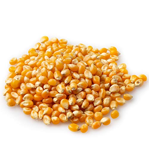 Oh! Nuts Popcorn Kernel Seeds | Bulk 5Lb Bag Of 100% All Natural