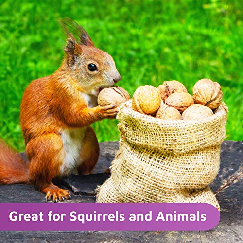 Oh! Nuts Raw Walnuts In Shell | Resealable 4-Lb. Bulk Bag For Ul