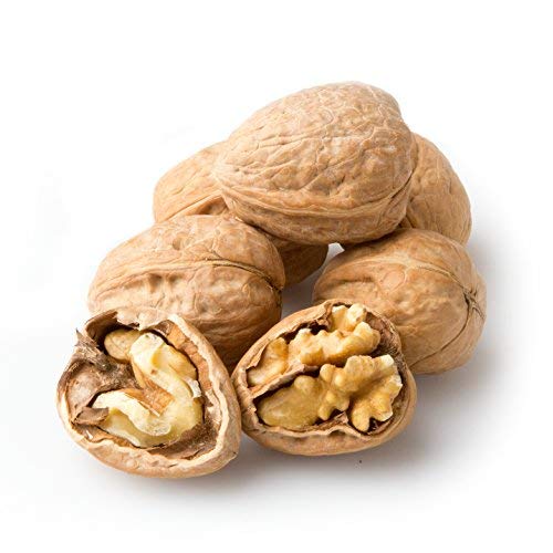Walnut In Shell Large Fresh, Jumbo Californian Raw Walnuts In Sh