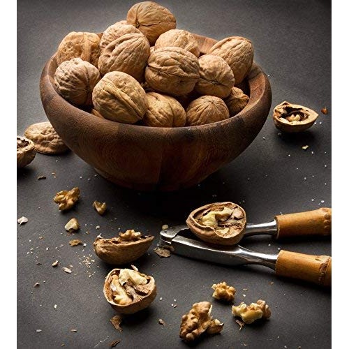 Walnut In Shell Large Fresh, Jumbo Californian Raw Walnuts In Sh