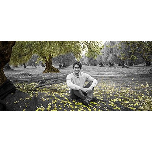 Oilala, 2020/21 Harvest! Extra Virgin Olive Oil, Coratina, Gold