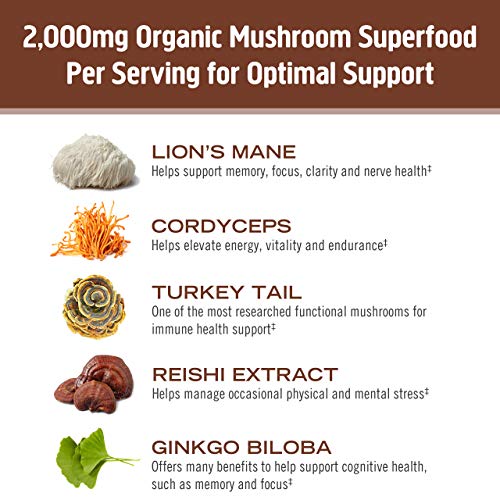 Om Mushroom Superfood Coffee Blend Mushroom Powder, 6.24 Ounce C...