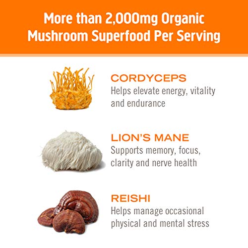 Om Mushroom Superfood Powder, Energy Plus, Citrus Orange, 7.05 O