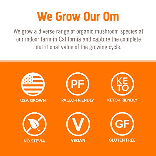 Om Mushroom Superfood Powder, Energy Plus, Citrus Orange, 7.05 O