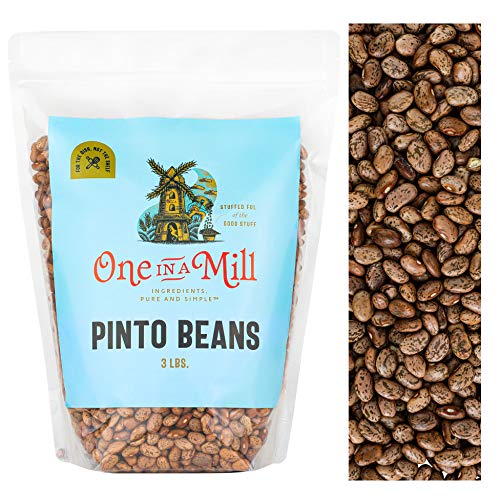 One In A Mill Dried Pinto Beans 3Lb Bulk Resealable Bag | Frijol