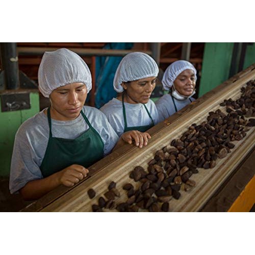 Organic Brazil Nuts - Oven-Dried, Unsalted, Fair Trade - 8 Oz. -