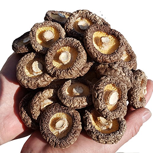 ONETANG Dried Mushrooms 5 Pound, 2023 New Season, Vacuum Packing...