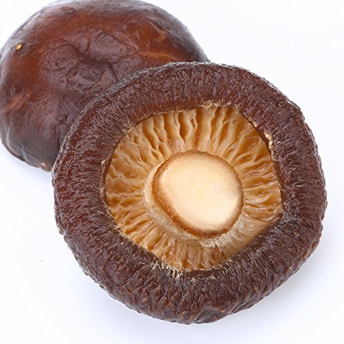 ONETANG Dried Shiitake Mushrooms 16 Oz, Rehydrate Quickly, Soft ...