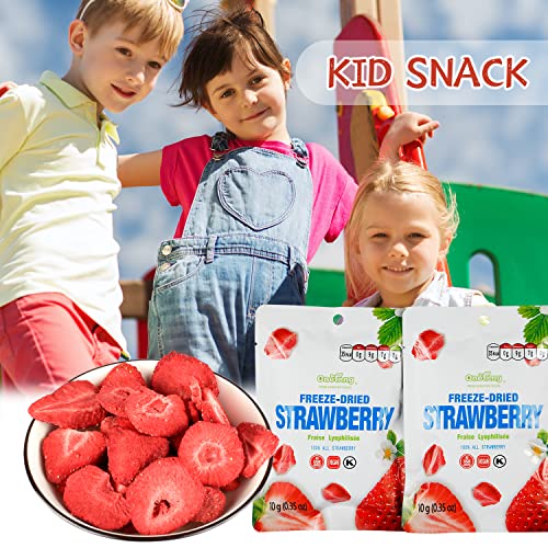 Onetang Freeze-Dried Fruit Strawberry, 10 Pack Single-Serve Pack