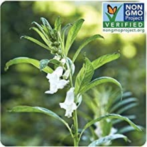 Onetang Organic Toasted Sesame Oil, Delicious Flavor, All-Natura