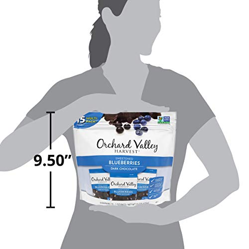 Orchard Valley Harvest Dark Chocolate Blueberries, 1 Oz Pack Of
