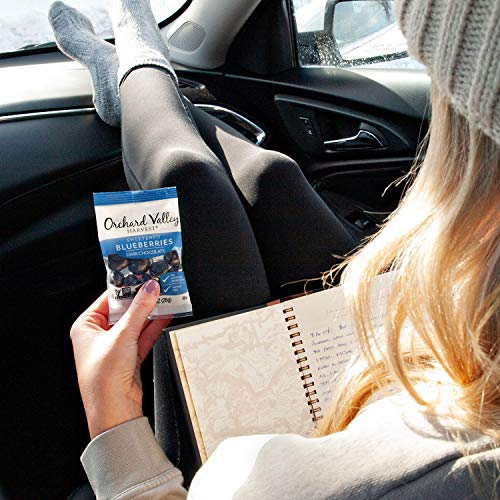 Orchard Valley Harvest Dark Chocolate Blueberries, 1 Oz Pack Of