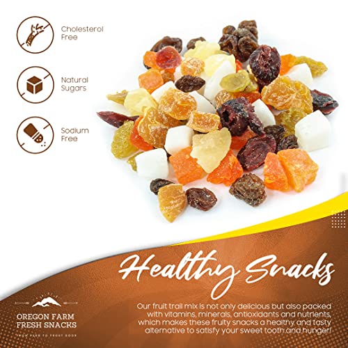 Oregon Farm Fresh Snacks Dried Fruit Mix – 24oz Diced Fruit Mix ...