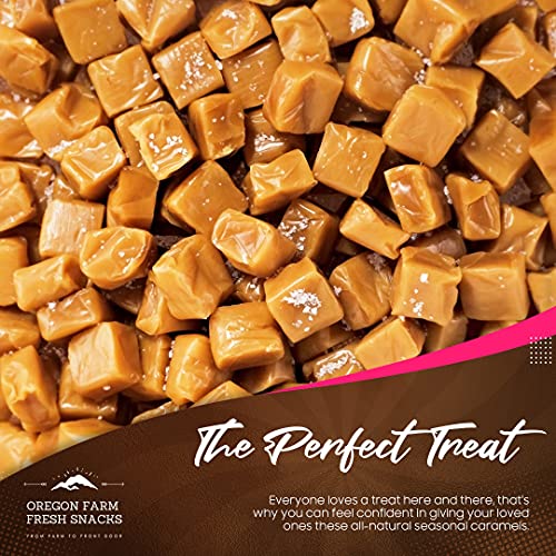 Oregon Farm Fresh Snacks Salted Caramel Gourmet Candy - Oregon M