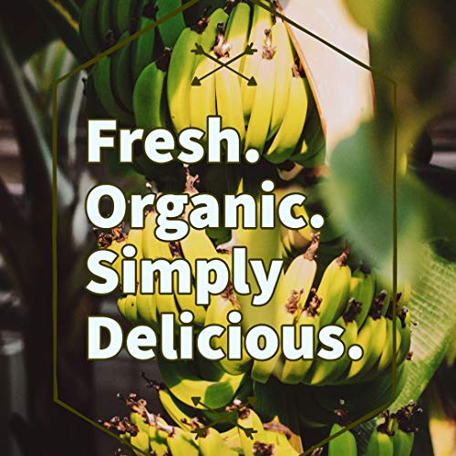 Oregon Farm Fresh Snacks - Usda Certified Organic Sweetened Bana
