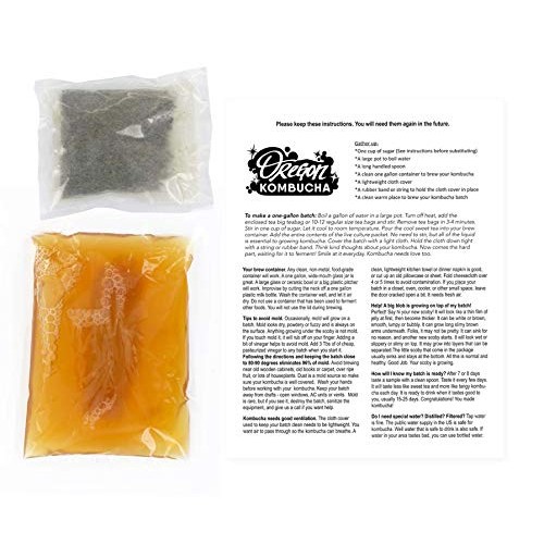 Kombucha Starter Kit By Oregon Kombucha | Organic Strawberry Gre