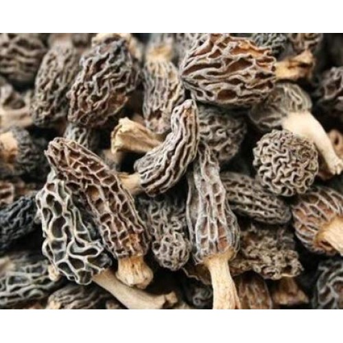 Dried Morel Mushrooms 1 Lb.