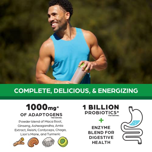 Orgain Organic Perfect Meal Powder, Vegan Meal Replacement with ...