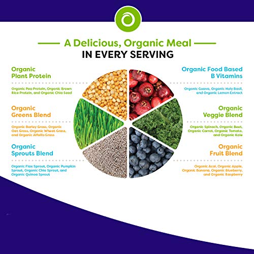 Orgain Organic Plant Based Meal Replacement Powder, Vanilla Bean