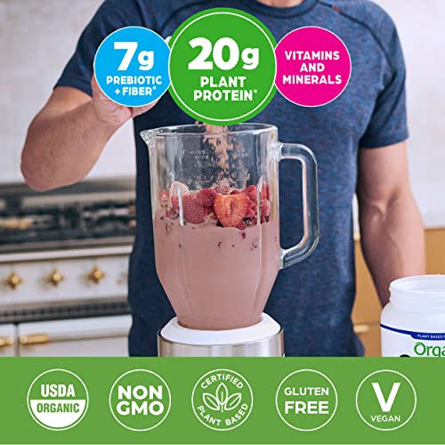 Vegan Protein Meal Replacement Powder by Orgain - 20g of Protein...