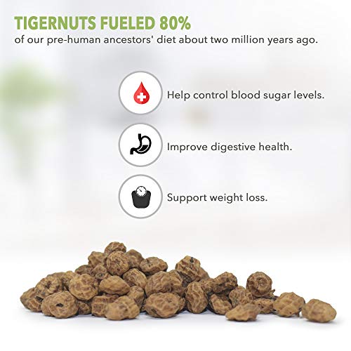 Organic Raw Tigernuts 12 Oz