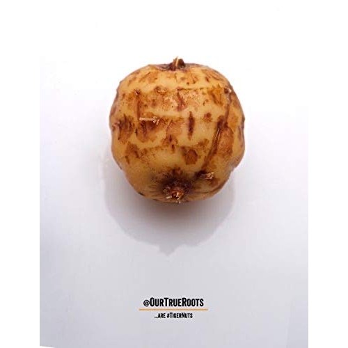 Organic Raw Tigernuts 12 Oz
