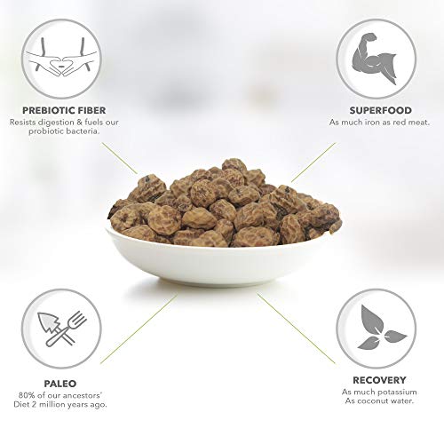 Organic Raw Tigernuts 12 Oz