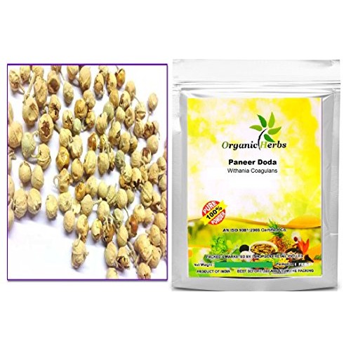 Organic Herbs Ayurvedic Herbal Indian Rennet | Paneer Doda | Pan