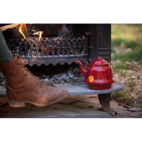 Organic India Tulsi Turmeric Ginger Herbal Tea - Stress Relievin