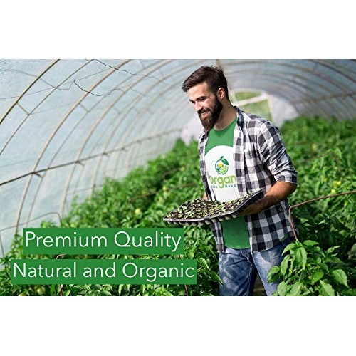 Organic Turmeric Root Powder | 8Oz Or 1 Lbs Or 2 Lbs | Lab Test