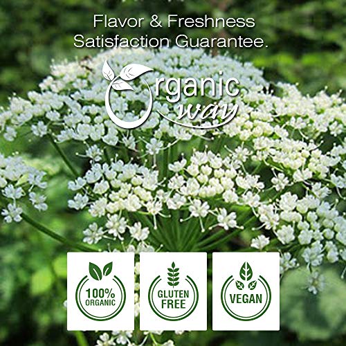 Organic Way Ajwain/Carom Seeds Whole Trachyspermum Copticum -