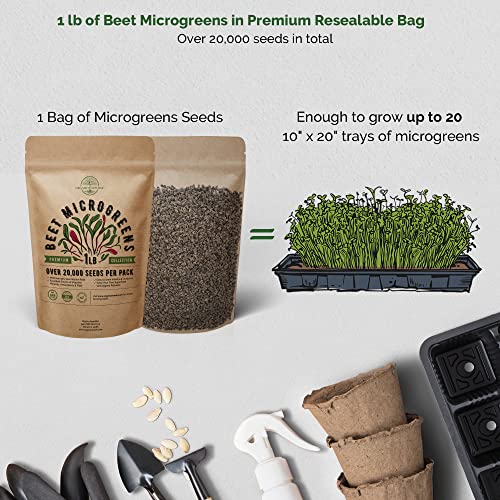 Beet Sprouting & Microgreens Seeds - Non-GMO, Heirloom Sprout Se...