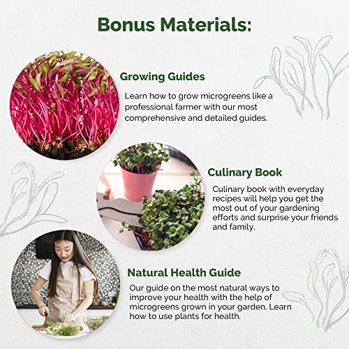 Beet Sprouting & Microgreens Seeds - Non-GMO, Heirloom Sprout Se...