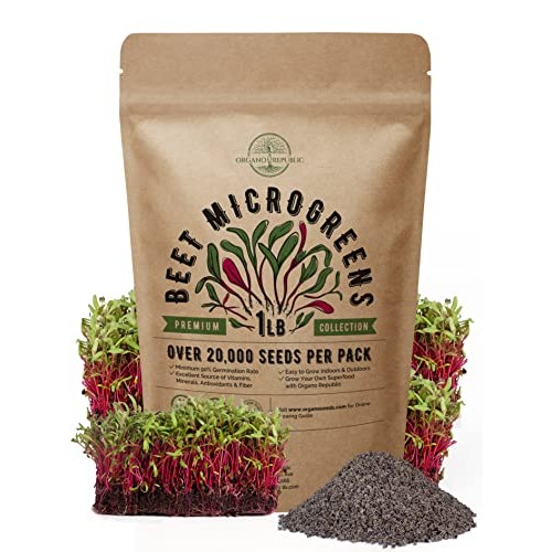 Beet Sprouting & Microgreens Seeds - Non-GMO, Heirloom Sprout Se...