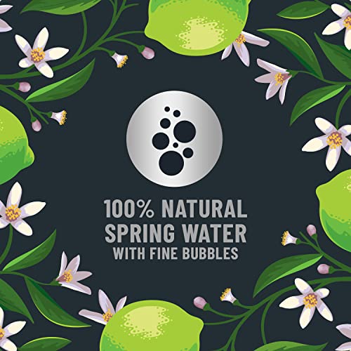 Origin, Sparkling Water, Lime Flavored Spring Water, 12 Fl Oz, A