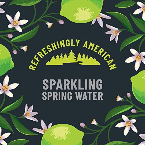 Origin, Sparkling Water, Lime Flavored Spring Water, 12 Fl Oz, A