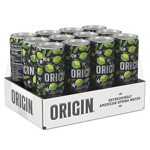 Origin, Sparkling Water, Lime Flavored Spring Water, 12 Fl Oz, A