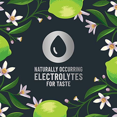 Origin, Sparkling Water, Lime Flavored Spring Water, 12 Fl Oz, A