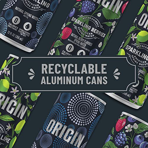 Origin, Sparkling Water, Lime Flavored Spring Water, 12 Fl Oz, A