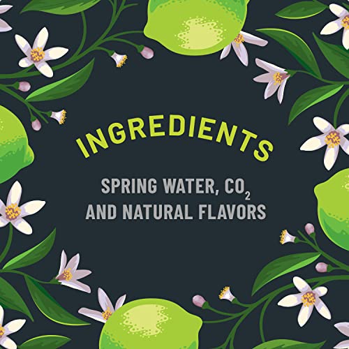 ORIGIN Sparkling Lime Flavored Spring Water, 12 Fl Oz, Aluminum ...