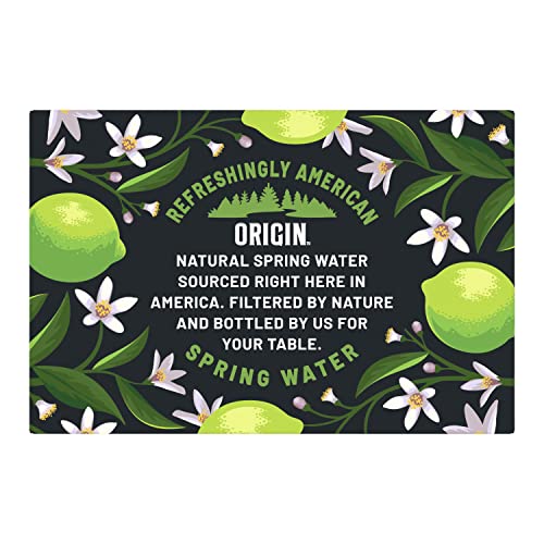 ORIGIN Sparkling Lime Flavored Spring Water, 12 Fl Oz, Aluminum ...