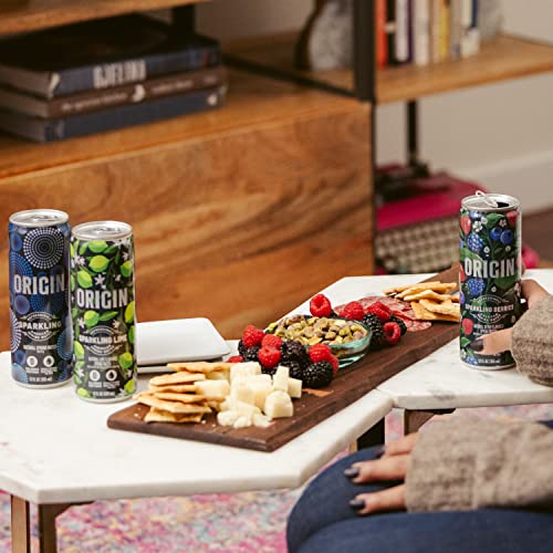 ORIGIN Sparkling Lime Flavored Spring Water, 12 Fl Oz, Aluminum ...