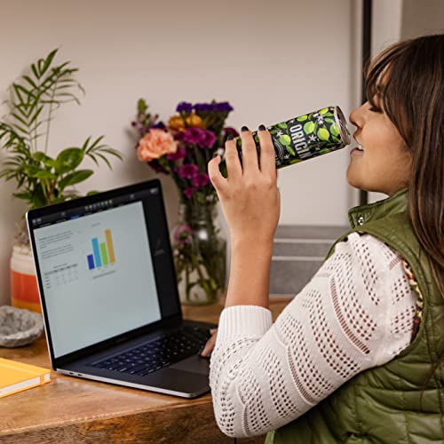 ORIGIN Sparkling Lime Flavored Spring Water, 12 Fl Oz, Aluminum ...