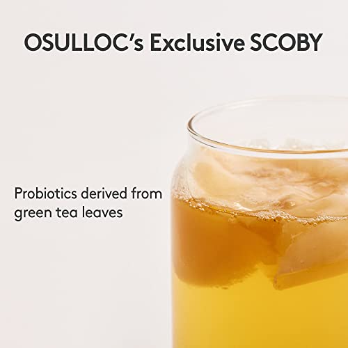 Osulloc Kombucha Tea Calamango Calamansi & Mango Blending, Spa...