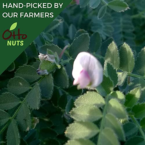 Otto Nuts - Dry Roasted Turkish Chickpeas with Sea Salt, Non-GMO...